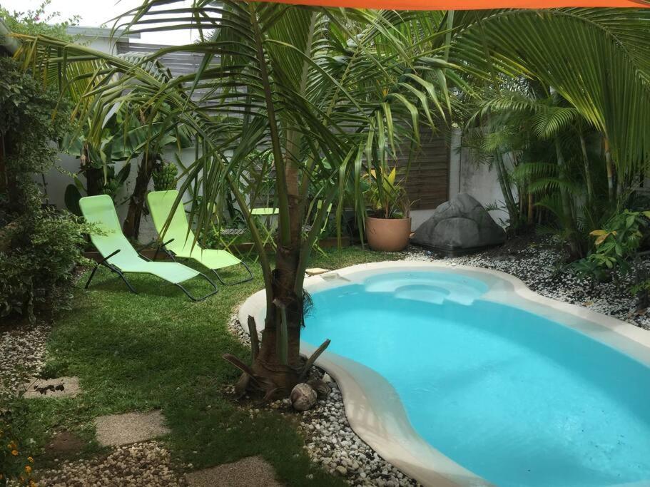 Le Nid D'Amour Avec Sa Piscine Et Jacuzzi Chauffes Saint-Joseph Exteriér fotografie